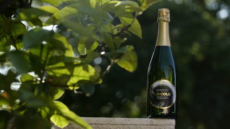 pignoletto-lambrusco-sorbara-dop-messori-01
