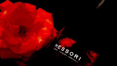 pignoletto-lambrusco-sorbara-dop-messori-03