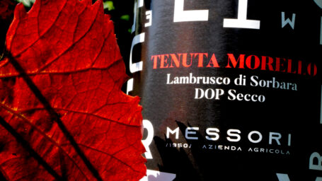 L1000568 tenuta morello