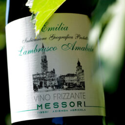 L1000600 lambrusco amabile